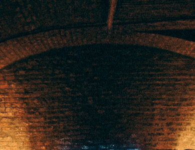 noid – You’re not here